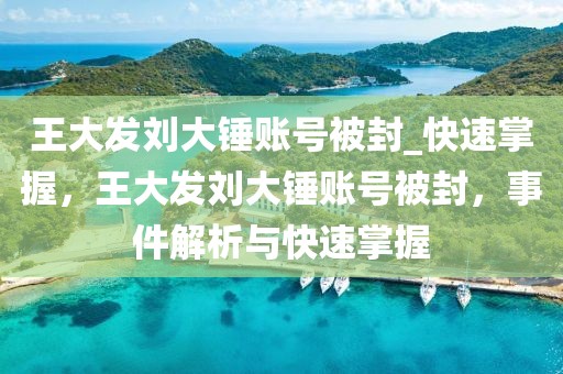 王大發劉大錘賬號被封_快速掌握，王大發劉大錘賬號被封，事件解析與快速掌握