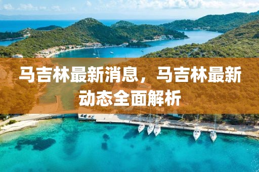 馬吉林最新消息，馬吉林最新動態(tài)全面解析