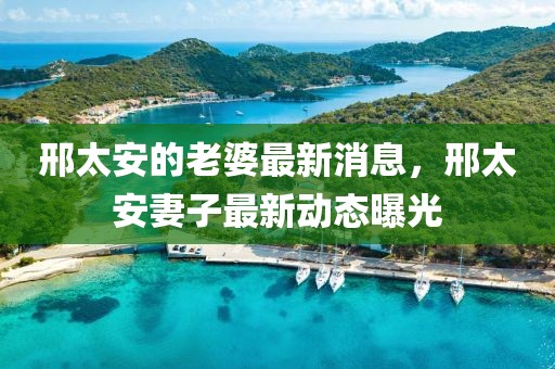 邢太安的老婆最新消息，邢太安妻子最新動態曝光