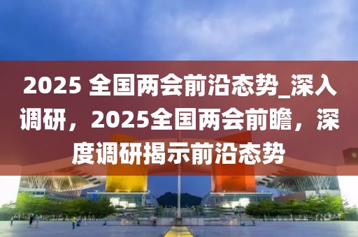 2025 全國兩會前沿態勢_深入調研，2025全國兩會前瞻，深度調研揭示前沿態勢