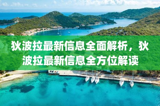 狄波拉最新信息全面解析，狄波拉最新信息全方位解讀