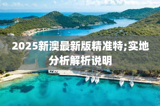 2025新澳最新版精準(zhǔn)特;實地分析解析說明