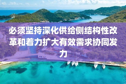 必須堅持深化供給側結構性改革和著力擴大有效需求協同發力