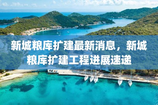 新城糧庫擴建最新消息，新城糧庫擴建工程進展速遞