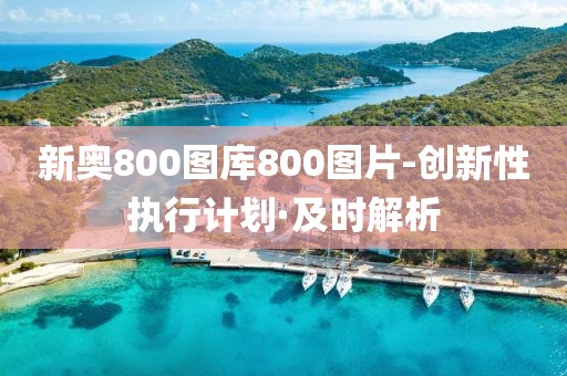 新奧800圖庫800圖片-創新性執行計劃·及時解析