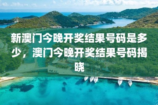 新澳門今晚開獎結果號碼是多少，澳門今晚開獎結果號碼揭曉