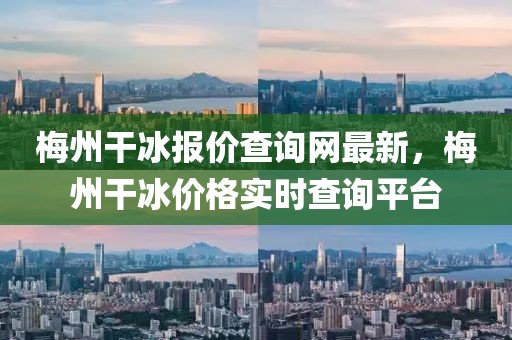 梅州干冰報價查詢網最新，梅州干冰價格實時查詢平臺
