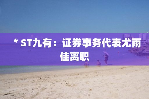 ＊ST九有：證券事務(wù)代表尤雨佳離職