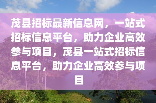 茂縣招標(biāo)最新信息網(wǎng)，一站式招標(biāo)信息平臺(tái)，助力企業(yè)高效參與項(xiàng)目，茂縣一站式招標(biāo)信息平臺(tái)，助力企業(yè)高效參與項(xiàng)目