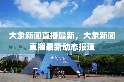 大象新聞直播最新，大象新聞直播最新動態報道