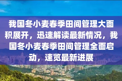 我國冬小麥春季田間管理大面積展開，迅速解讀最新情況，我國冬小麥春季田間管理全面啟動，速覽最新進展