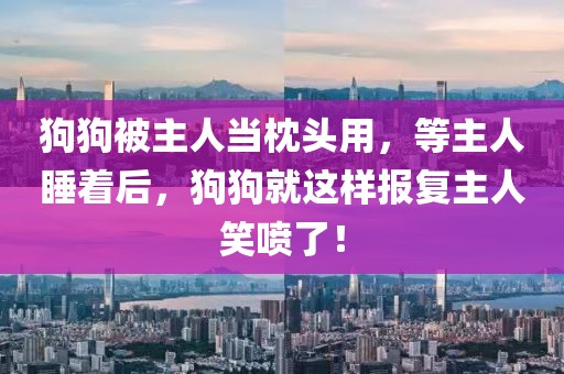 狗狗被主人當枕頭用，等主人睡著后，狗狗就這樣報復主人笑噴了！