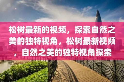 松樹最新的視頻，探索自然之美的獨(dú)特視角，松樹最新視頻，自然之美的獨(dú)特視角探索