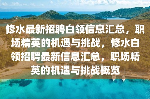 修水最新招聘白領信息匯總，職場精英的機遇與挑戰，修水白領招聘最新信息匯總，職場精英的機遇與挑戰概覽