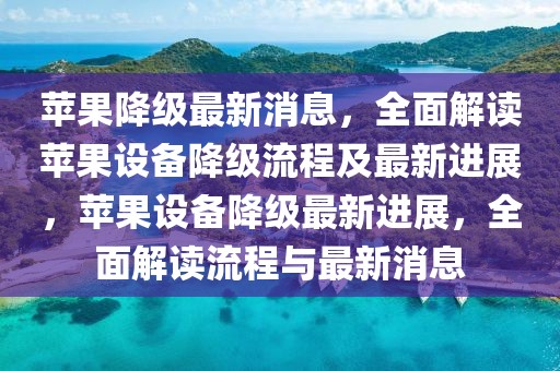 2025年3月1日 第51頁