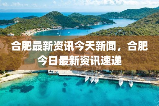 合肥最新資訊今天新聞，合肥今日最新資訊速遞