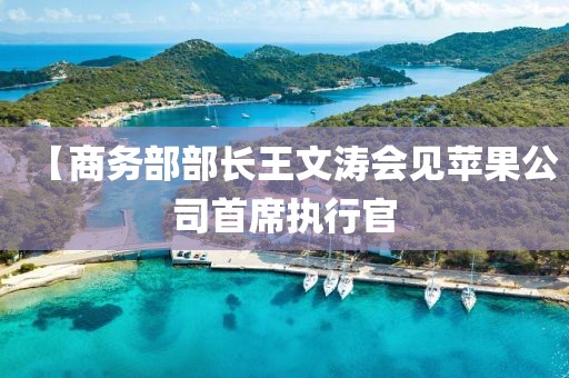【商務部部長王文濤會見蘋果公司首席執行官