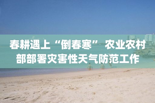 春耕遇上“倒春寒” 農業農村部部署災害性天氣防范工作