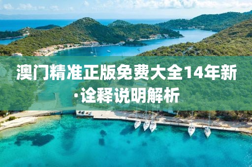 澳門精準正版免費大全14年新·詮釋說明解析