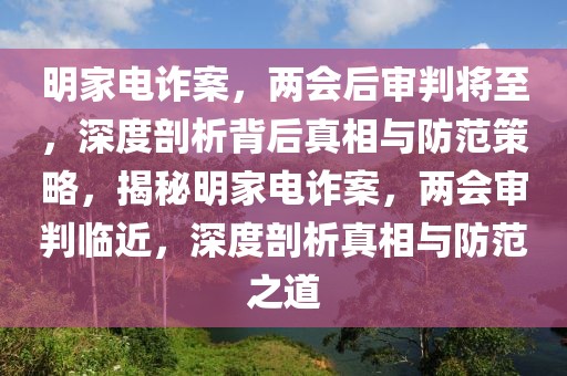 明家電詐案，兩會后審判將至，深度剖析背后真相與防范策略，揭秘明家電詐案，兩會審判臨近，深度剖析真相與防范之道