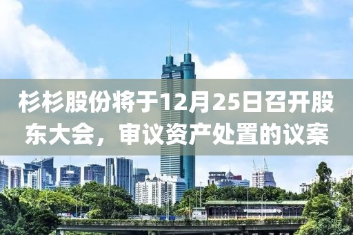 杉杉股份將于12月25日召開股東大會(huì)，審議資產(chǎn)處置的議案