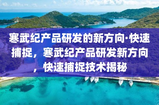寒武紀產品研發的新方向·快速捕捉，寒武紀產品研發新方向，快速捕捉技術揭秘
