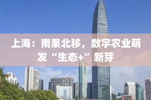 上海：南果北移，數字農業萌發“生態+”新芽