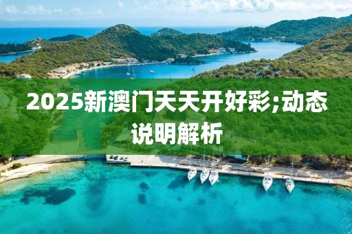 2025年3月21日 第80頁