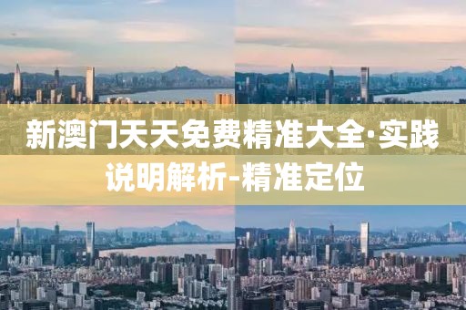 新澳門天天免費精準大全·實踐說明解析-精準定位