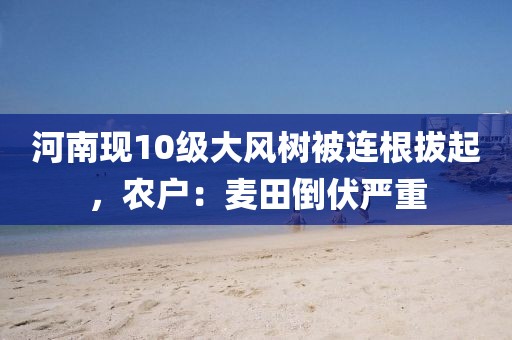 河南現(xiàn)10級(jí)大風(fēng)樹被連根拔起，農(nóng)戶：麥田倒伏嚴(yán)重